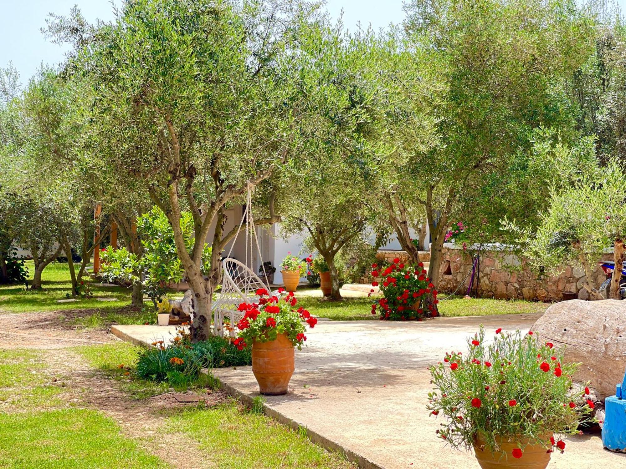Rida Village Island *