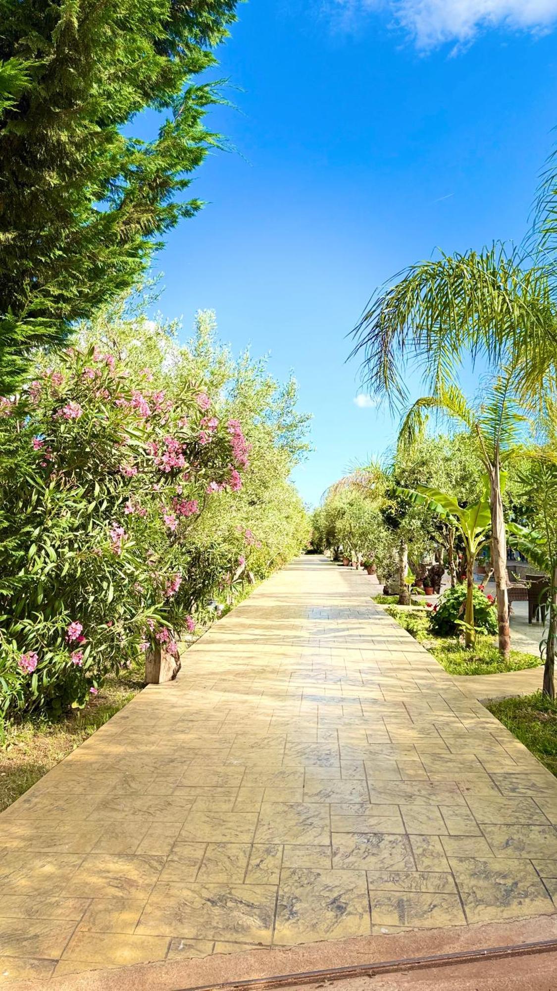 Rida Village Island